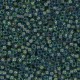 Miyuki seed beads 11/0 - Fancy lined eucalyptus 11-3741